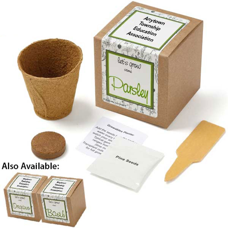 Planter-In-Gift-Box